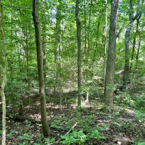Photo #3 of SOLD property in Off Sunnyside Dr, Lexington, NC 0.8 acres