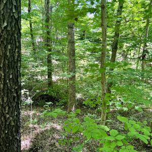 Photo #15 of SOLD property in Off Sunnyside Dr, Lexington, NC 0.8 acres