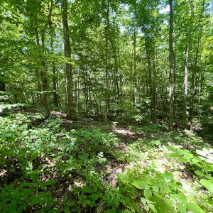 Photo #17 of SOLD property in Off Sunnyside Dr, Lexington, NC 0.8 acres