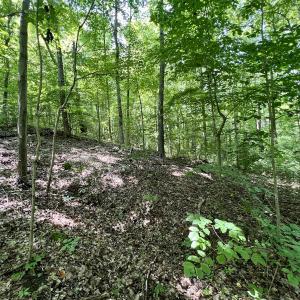 Photo #20 of SOLD property in Off Sunnyside Dr, Lexington, NC 0.8 acres