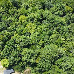 Photo #8 of SOLD property in Off Sunnyside Dr, Lexington, NC 0.8 acres