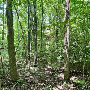 Photo #21 of SOLD property in Off Sunnyside Dr, Lexington, NC 0.8 acres