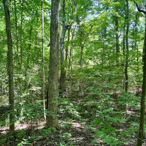 Photo #22 of SOLD property in Off Sunnyside Dr, Lexington, NC 0.8 acres