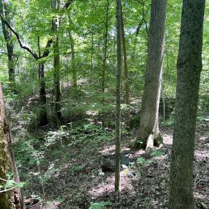 Photo #23 of SOLD property in Off Sunnyside Dr, Lexington, NC 0.8 acres
