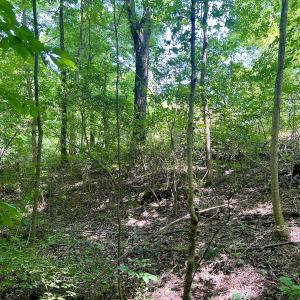 Photo #26 of SOLD property in Off Sunnyside Dr, Lexington, NC 0.8 acres