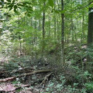 Photo #27 of SOLD property in Off Sunnyside Dr, Lexington, NC 0.8 acres