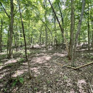 Photo #2 of Off of Amy Lane, Moneta, VA 6.6 acres