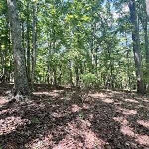 Photo #3 of Off of Amy Lane, Moneta, VA 6.6 acres
