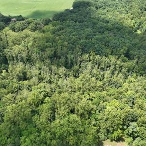 Photo #7 of Off of Amy Lane, Moneta, VA 6.6 acres