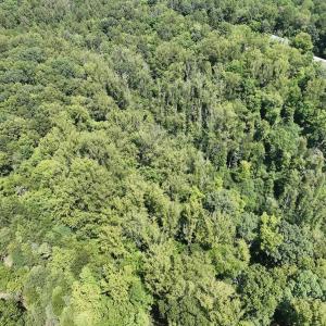 Photo #9 of Off of Amy Lane, Moneta, VA 6.6 acres