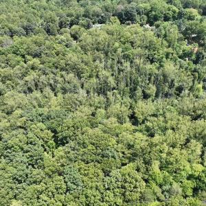 Photo #10 of Off of Amy Lane, Moneta, VA 6.6 acres