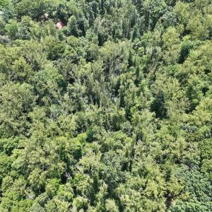 Photo #11 of Off of Amy Lane, Moneta, VA 6.6 acres