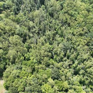 Photo #12 of Off of Amy Lane, Moneta, VA 6.6 acres