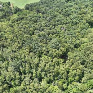 Photo #13 of Off of Amy Lane, Moneta, VA 6.6 acres