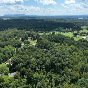 Photo #16 of Off of Amy Lane, Moneta, VA 6.6 acres
