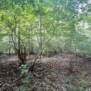 Photo #19 of Off of Amy Lane, Moneta, VA 6.6 acres