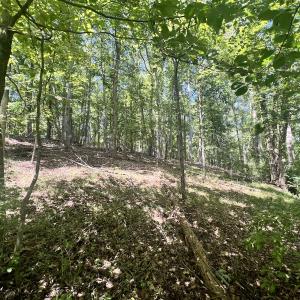 Photo #20 of Off of Amy Lane, Moneta, VA 6.6 acres