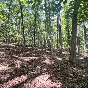 Photo #21 of Off of Amy Lane, Moneta, VA 6.6 acres