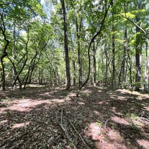 Photo #23 of Off of Amy Lane, Moneta, VA 6.6 acres