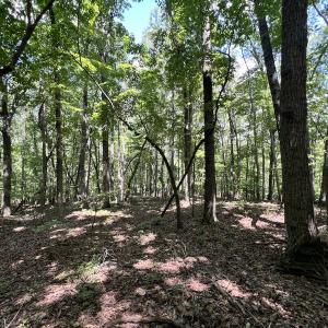 Photo #24 of Off of Amy Lane, Moneta, VA 6.6 acres