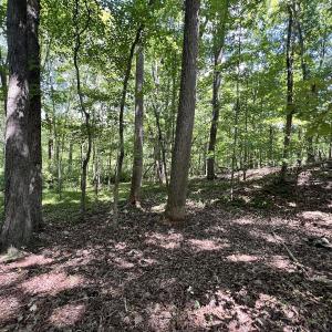 Photo #26 of Off of Amy Lane, Moneta, VA 6.6 acres