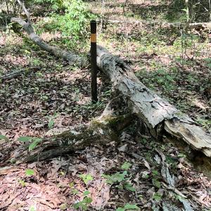 Photo #27 of Off of Amy Lane, Moneta, VA 6.6 acres