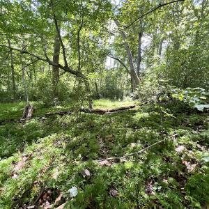 Photo #28 of Off of Amy Lane, Moneta, VA 6.6 acres