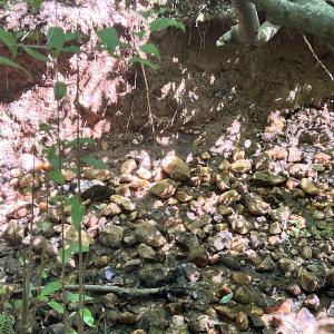 Photo #29 of Off of Amy Lane, Moneta, VA 6.6 acres