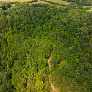 Photo #8 of SOLD property in Off Aldridge Road, Yanceyville, NC 56.6 acres