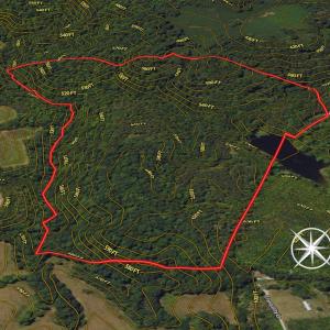 Photo #9 of SOLD property in Off Aldridge Road, Yanceyville, NC 56.6 acres