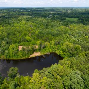 Photo #16 of SOLD property in Off Aldridge Road, Yanceyville, NC 56.6 acres