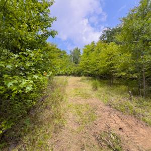 Photo #20 of SOLD property in Off Aldridge Road, Yanceyville, NC 56.6 acres