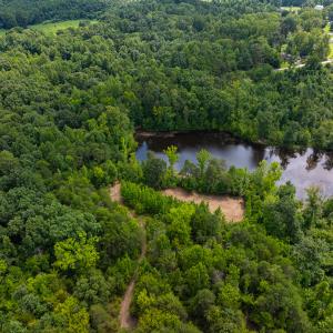 Photo #22 of SOLD property in Off Aldridge Road, Yanceyville, NC 56.6 acres