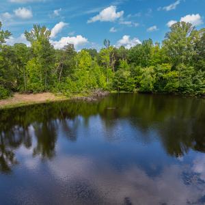 Photo #25 of SOLD property in Off Aldridge Road, Yanceyville, NC 56.6 acres