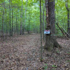 Photo #26 of SOLD property in Off Aldridge Road, Yanceyville, NC 56.6 acres