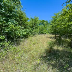 Photo #28 of SOLD property in Off Aldridge Road, Yanceyville, NC 56.6 acres