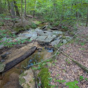 Photo #30 of SOLD property in Off Aldridge Road, Yanceyville, NC 56.6 acres