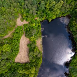 Photo #32 of SOLD property in Off Aldridge Road, Yanceyville, NC 56.6 acres