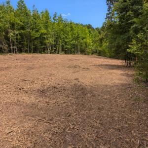 Photo #33 of SOLD property in Off Aldridge Road, Yanceyville, NC 56.6 acres