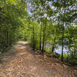 Photo #35 of SOLD property in Off Aldridge Road, Yanceyville, NC 56.6 acres