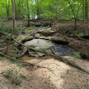Photo #36 of SOLD property in Off Aldridge Road, Yanceyville, NC 56.6 acres