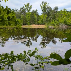 Photo #37 of SOLD property in Off Aldridge Road, Yanceyville, NC 56.6 acres