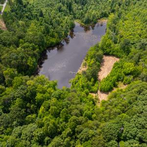 Photo #39 of SOLD property in Off Aldridge Road, Yanceyville, NC 56.6 acres