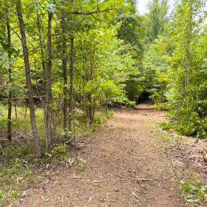 Photo #46 of SOLD property in Off Aldridge Road, Yanceyville, NC 56.6 acres
