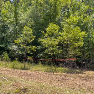 Photo #48 of SOLD property in Off Aldridge Road, Yanceyville, NC 56.6 acres