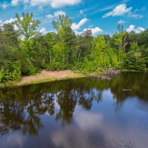 Photo #49 of SOLD property in Off Aldridge Road, Yanceyville, NC 56.6 acres