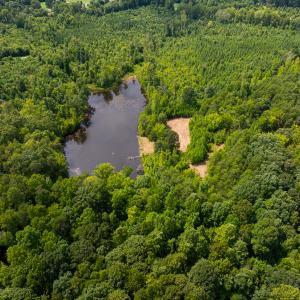 Photo #51 of SOLD property in Off Aldridge Road, Yanceyville, NC 56.6 acres