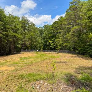 Photo #53 of SOLD property in Off Aldridge Road, Yanceyville, NC 56.6 acres