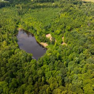 Photo #54 of SOLD property in Off Aldridge Road, Yanceyville, NC 56.6 acres