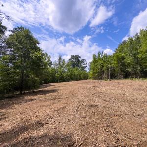 Photo #55 of SOLD property in Off Aldridge Road, Yanceyville, NC 56.6 acres